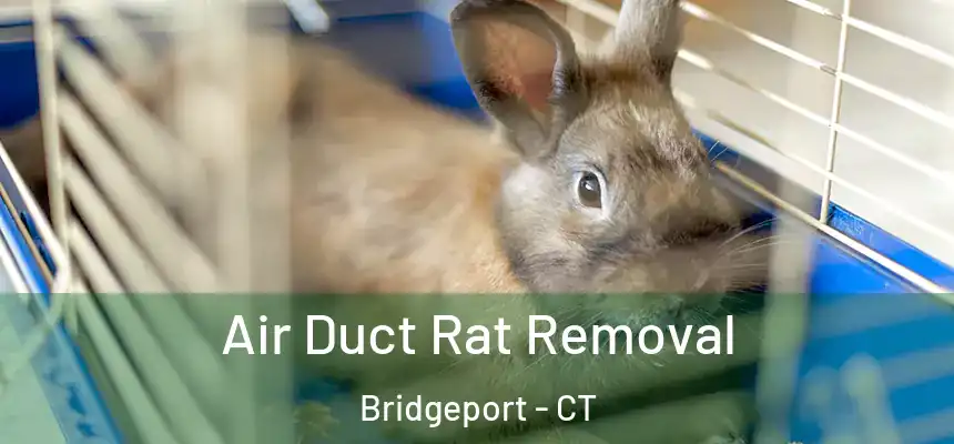  Air Duct Rat Removal Bridgeport - CT