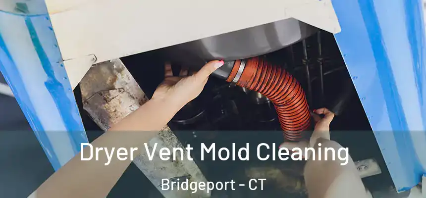 Dryer Vent Mold Cleaning Bridgeport - CT