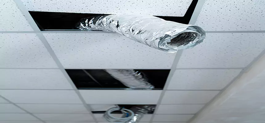 Affordable HVAC Sanitizing After Pest Removal in Bridgeport