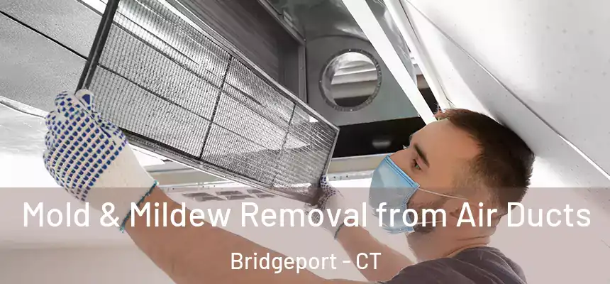  Mold & Mildew Removal from Air Ducts Bridgeport - CT