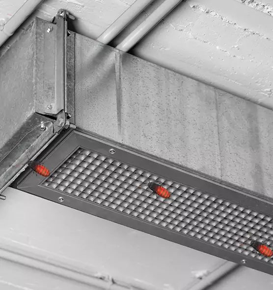 About Air Duct Cockroach Removal in Bridgeport, CT