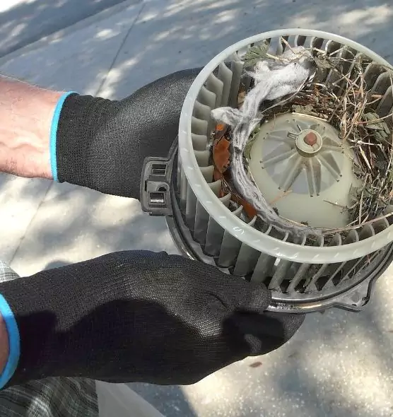 About Air Duct Mice Removal in Bridgeport, CT