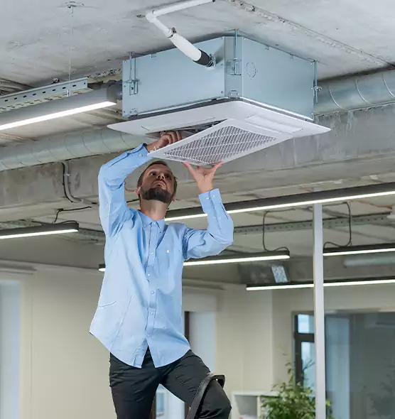 Advanced Rodent Droppings In Vents in Bridgeport, CT