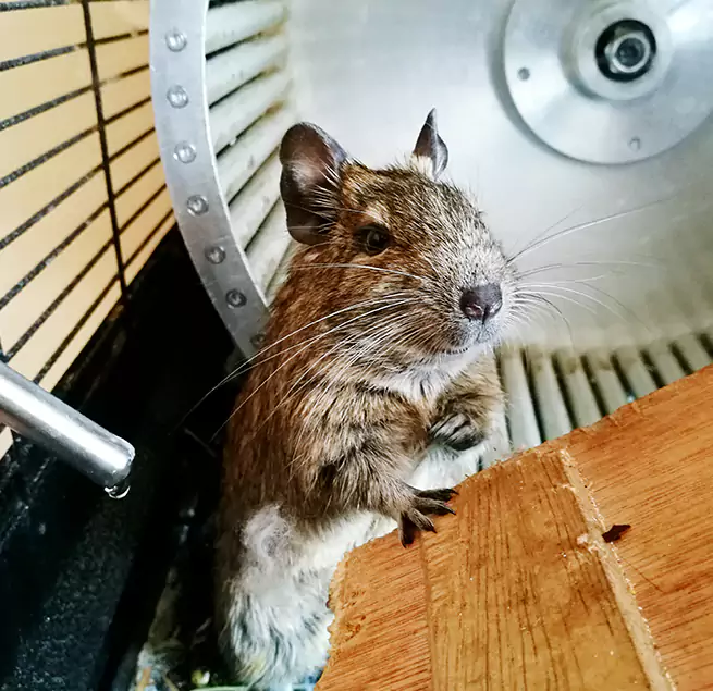 Why Homeowners & Businesses Trust Us Bridgeport, CT?