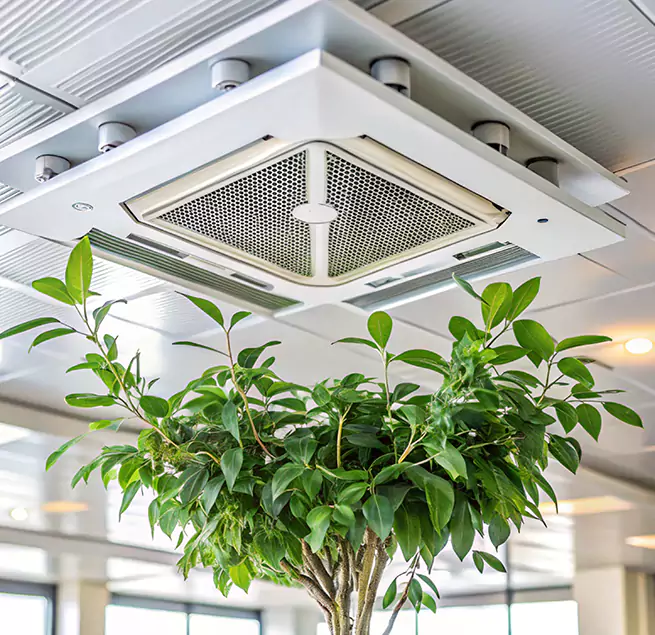 Why Homeowners & Businesses Trust Us in Bridgeport, CT?