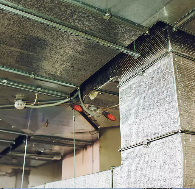 Why Homeowners & Businesses Trust Us Bridgeport, CT?