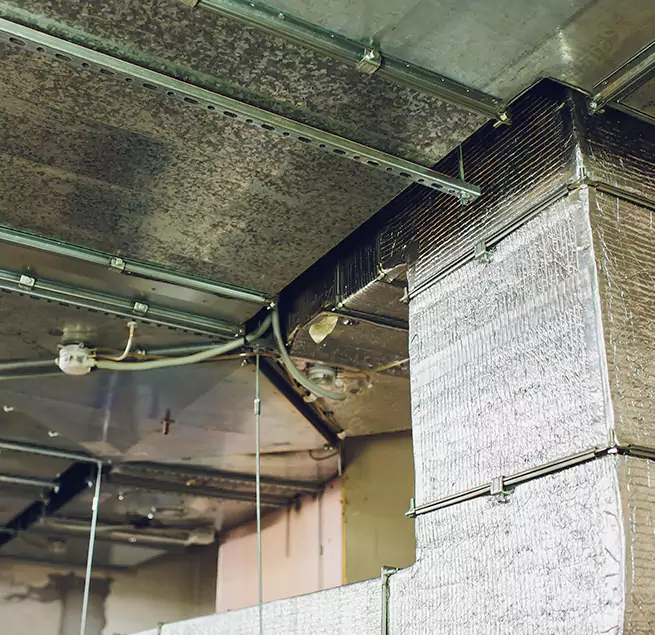 Why Homeowners & Businesses Trust Us in Bridgeport, CT?